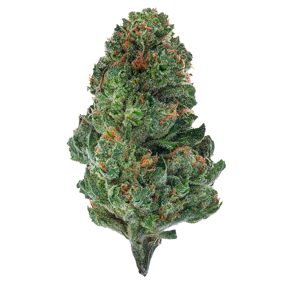 GG4 (Hybrid)