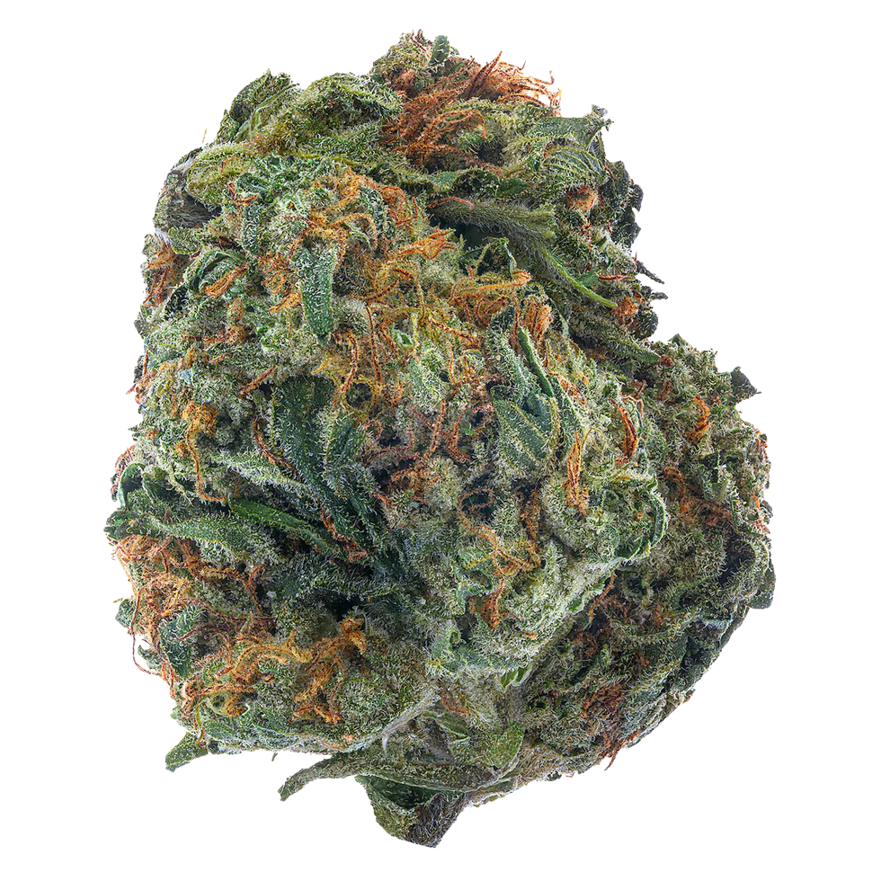 Sherbert (Hybrid)