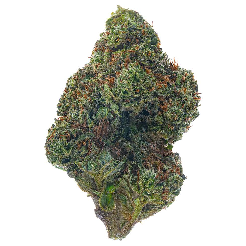 Dosidos (Hybrid)